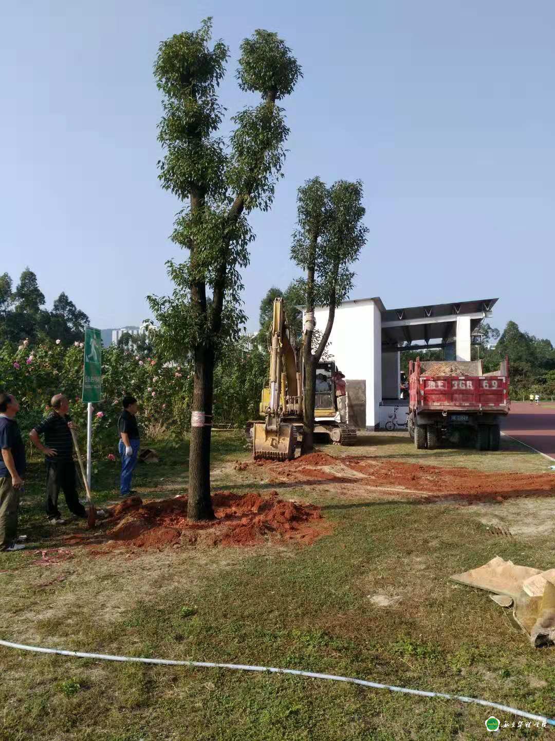 校友捐树添绿------为母校庆生 校友捐树添绿------为母校庆生